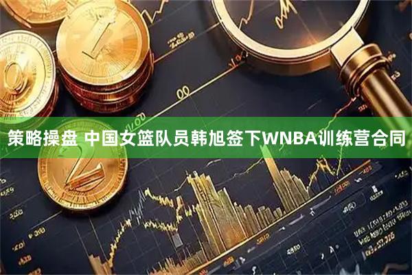 策略操盘 中国女篮队员韩旭签下WNBA训练营合同