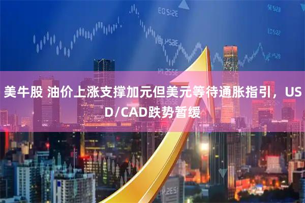 美牛股 油价上涨支撑加元但美元等待通胀指引，USD/CAD跌势暂缓